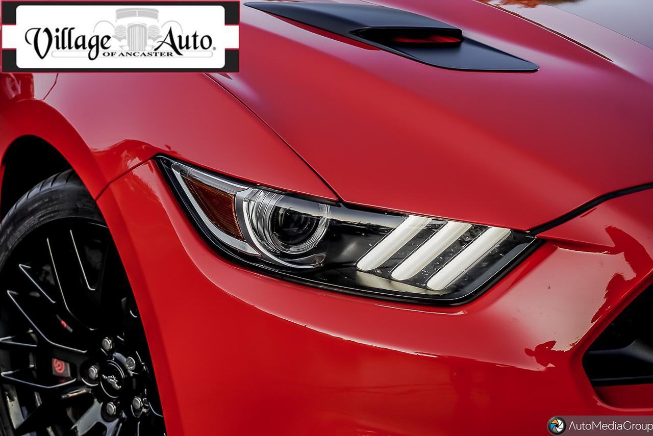 2017 Ford Mustang GT Premium Photo