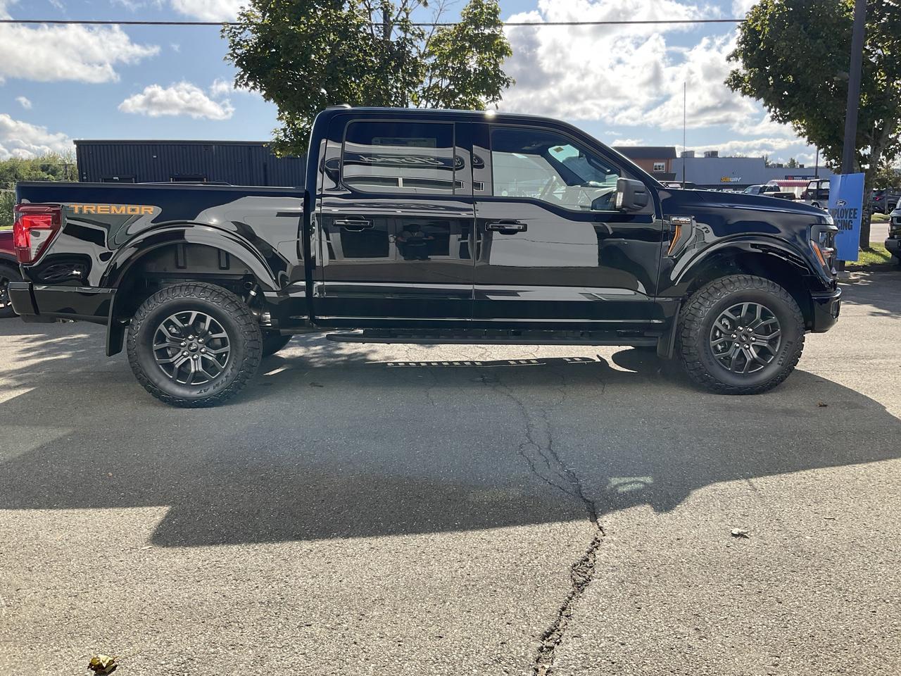 2026 Ford F-150 Tremor Photo3