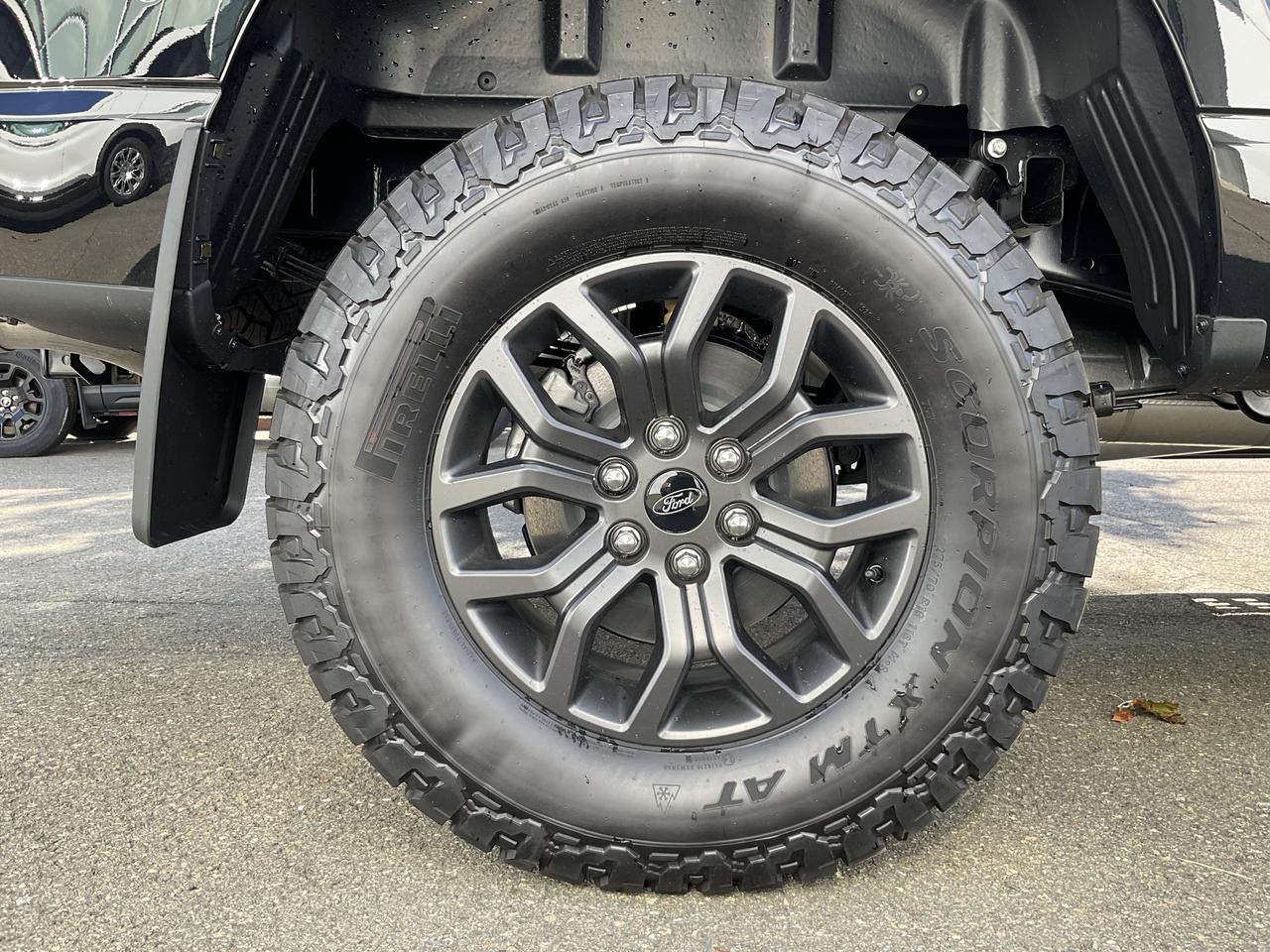 2026 Ford F-150 Tremor Photo4