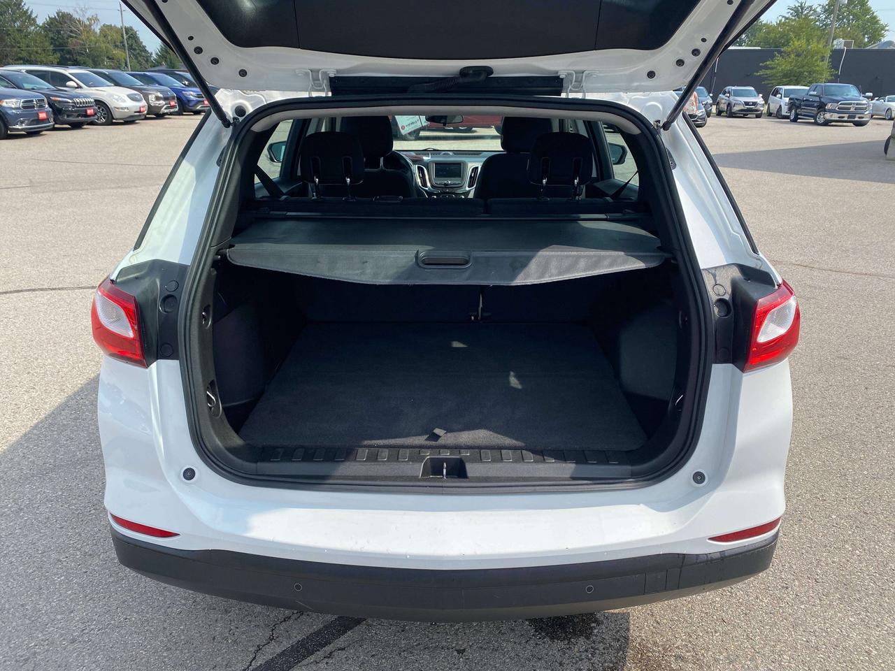 2020 Chevrolet Equinox LS, CLEAN CARFAX, HEATED SEATS, REMOTE START! Photo