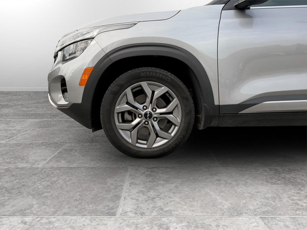 2025 Kia Seltos EX Photo