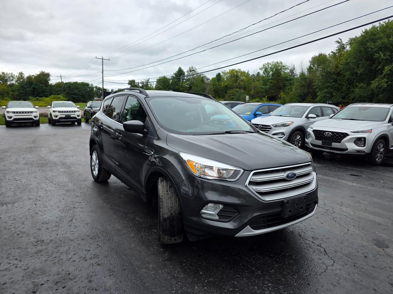2018 Ford Escape SE 4WD Photo
