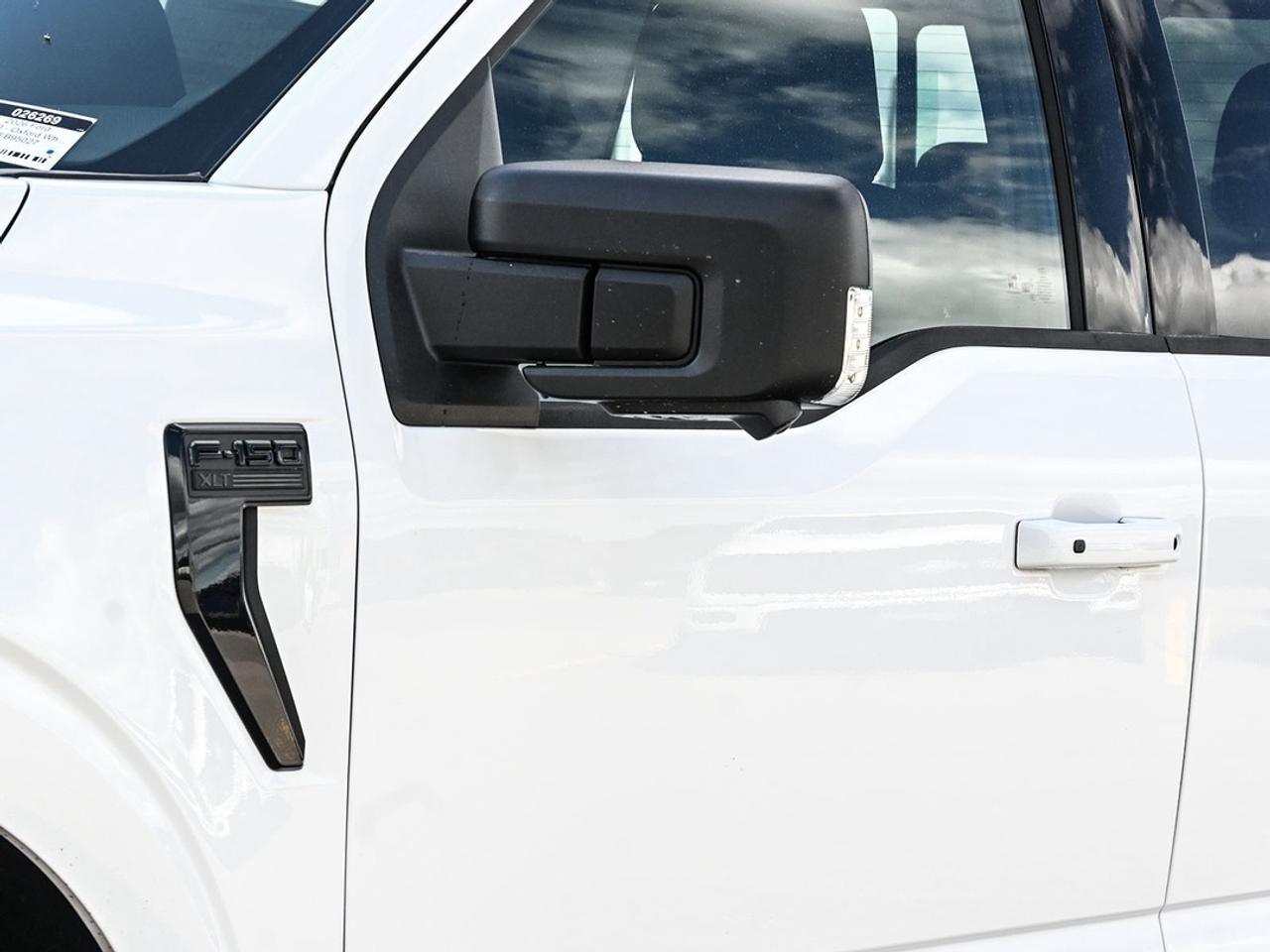 2026 Ford F-150 XLT Photo