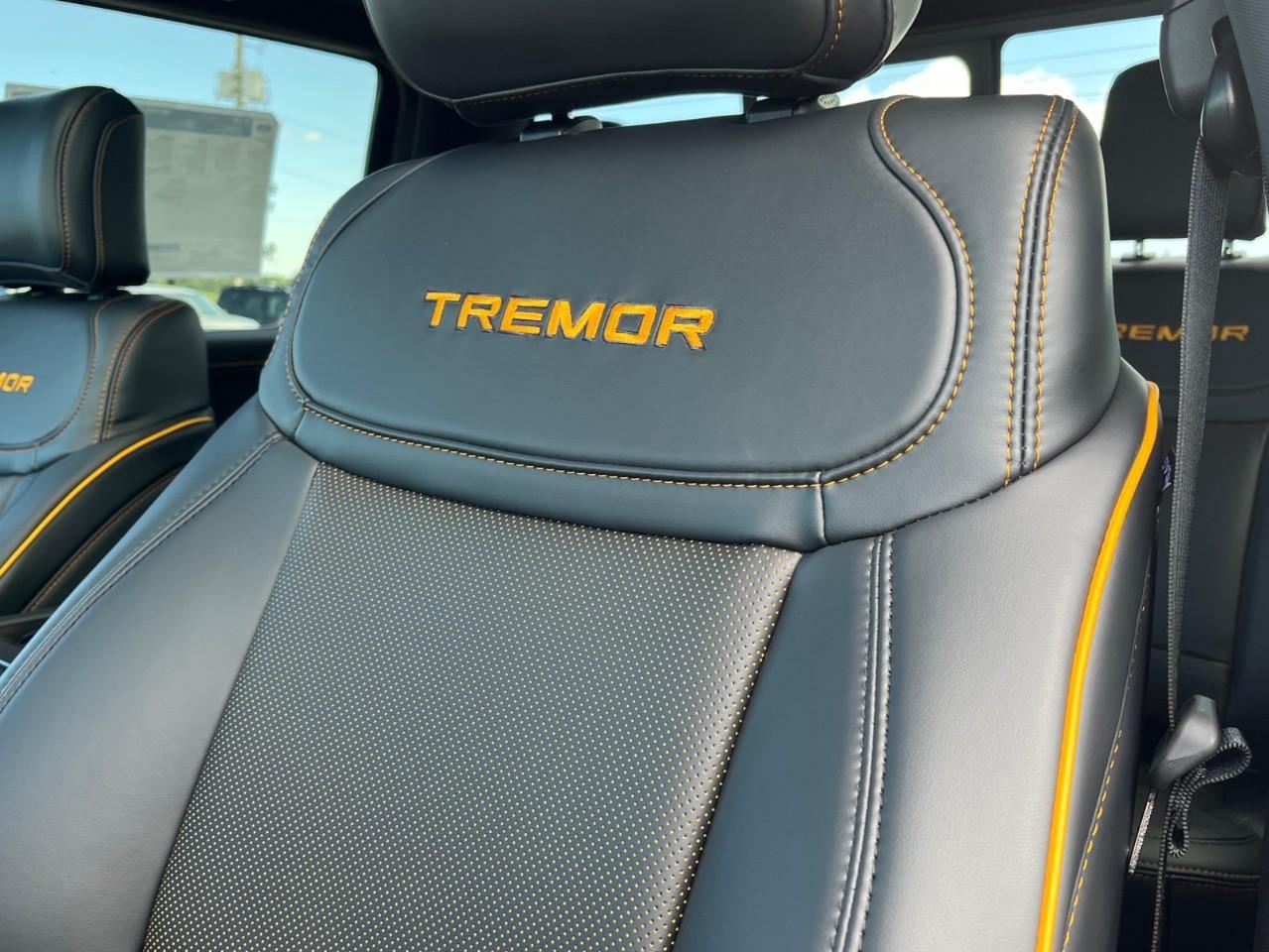 2026 Ford F-150 Tremor Photo