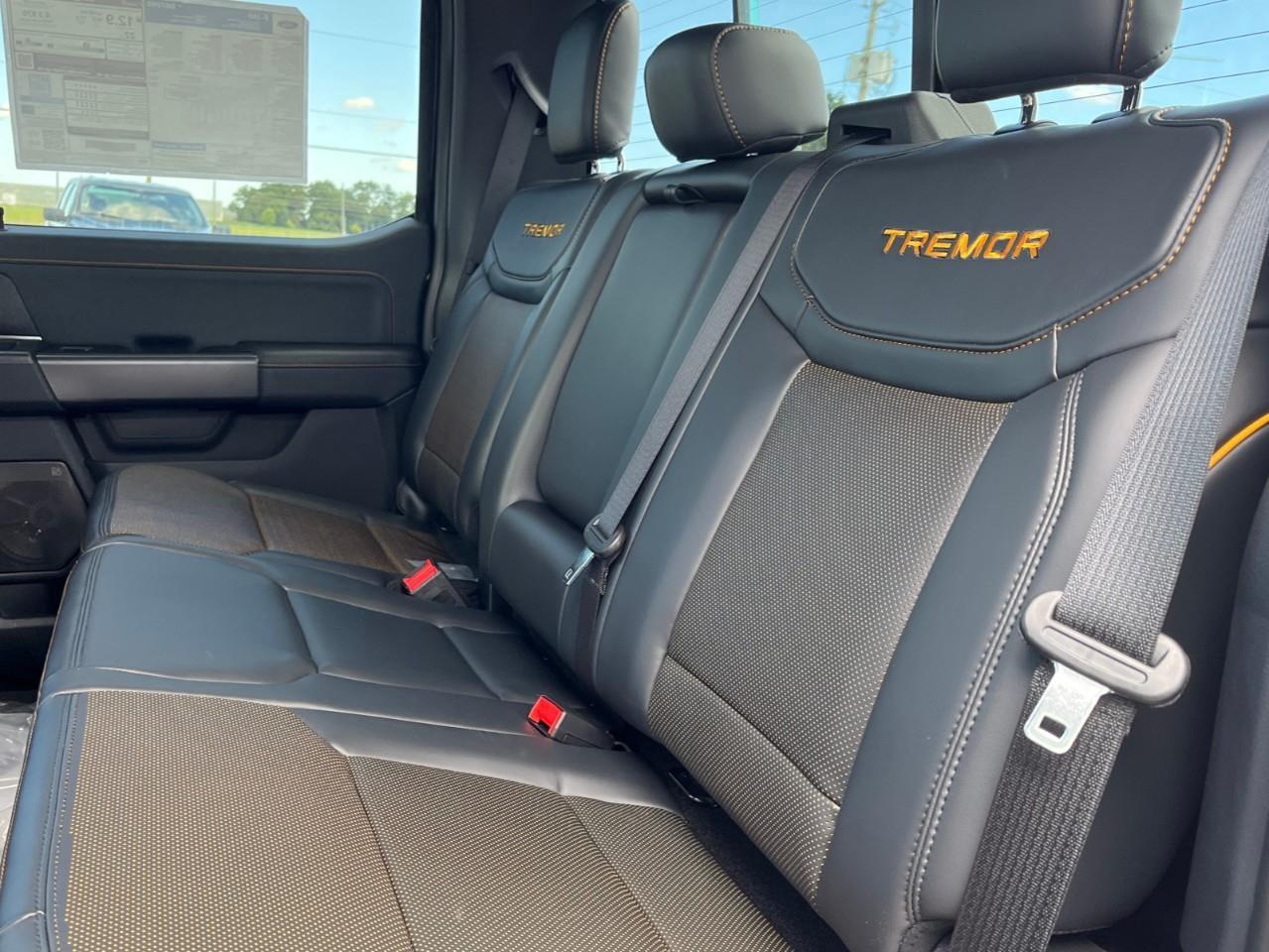 2026 Ford F-150 Tremor Photo