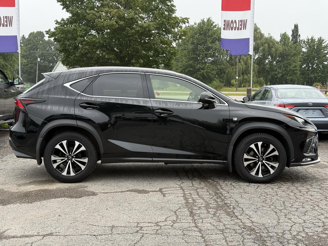 2018 Lexus NX NX 300 F- SPORT Photo1