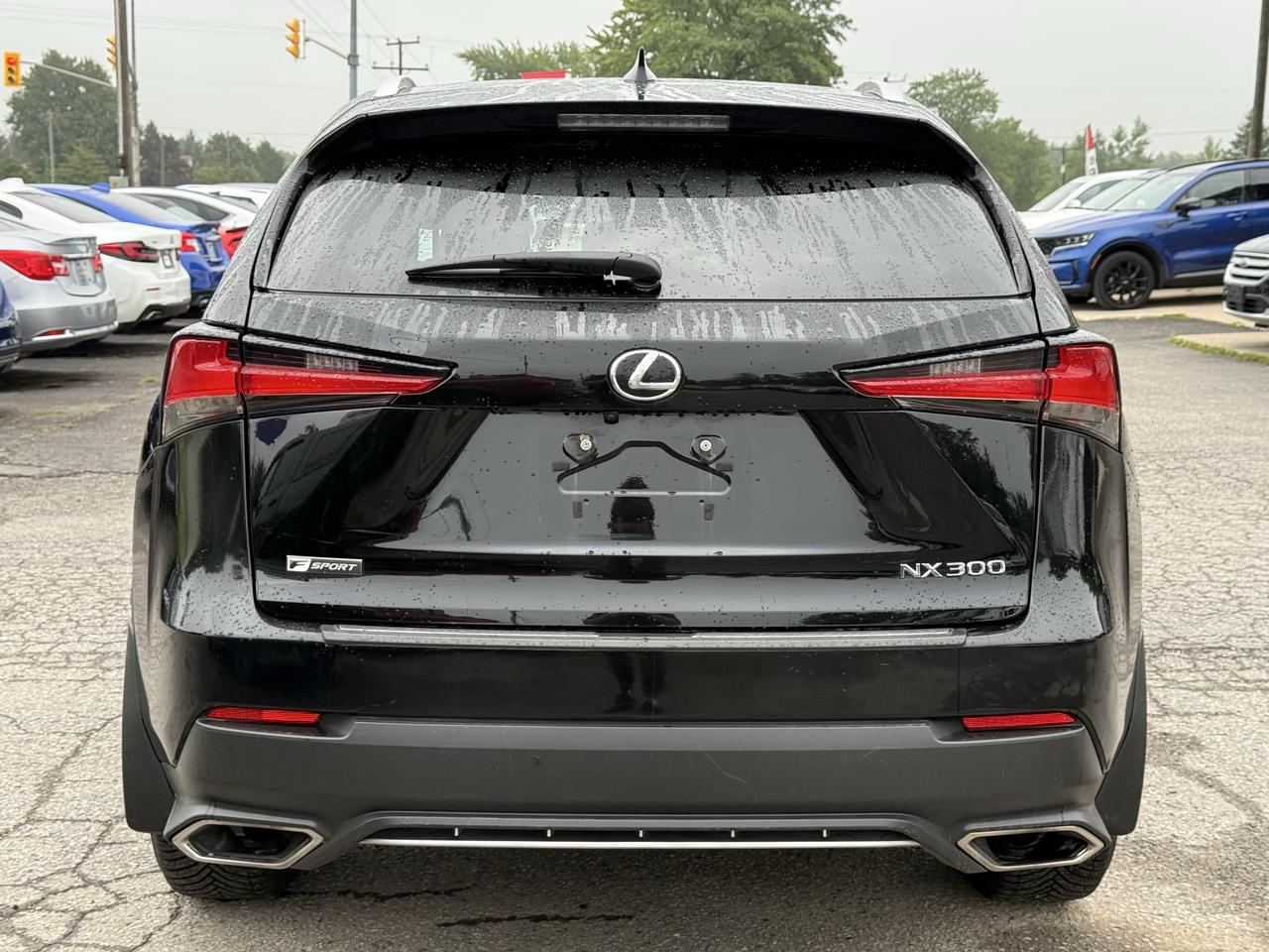 2018 Lexus NX NX 300 F- SPORT Photo