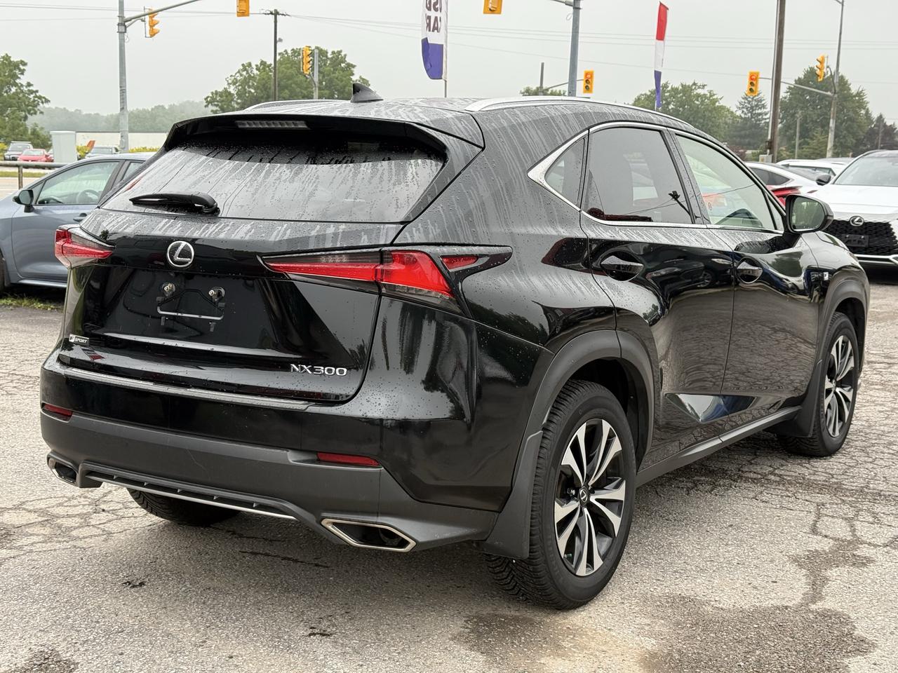 2018 Lexus NX NX 300 F- SPORT Photo