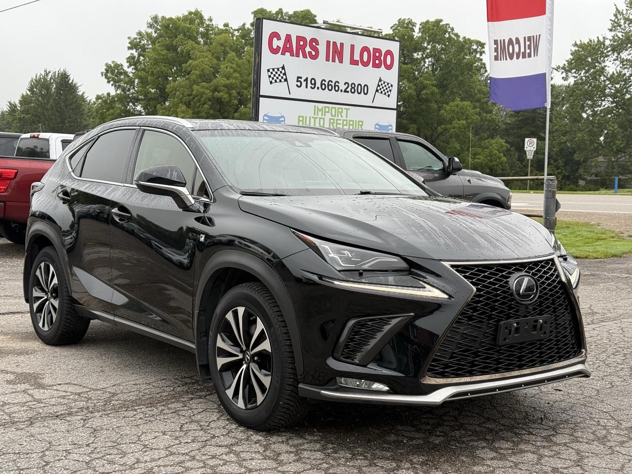 2018 Lexus NX NX 300 F- SPORT Photo