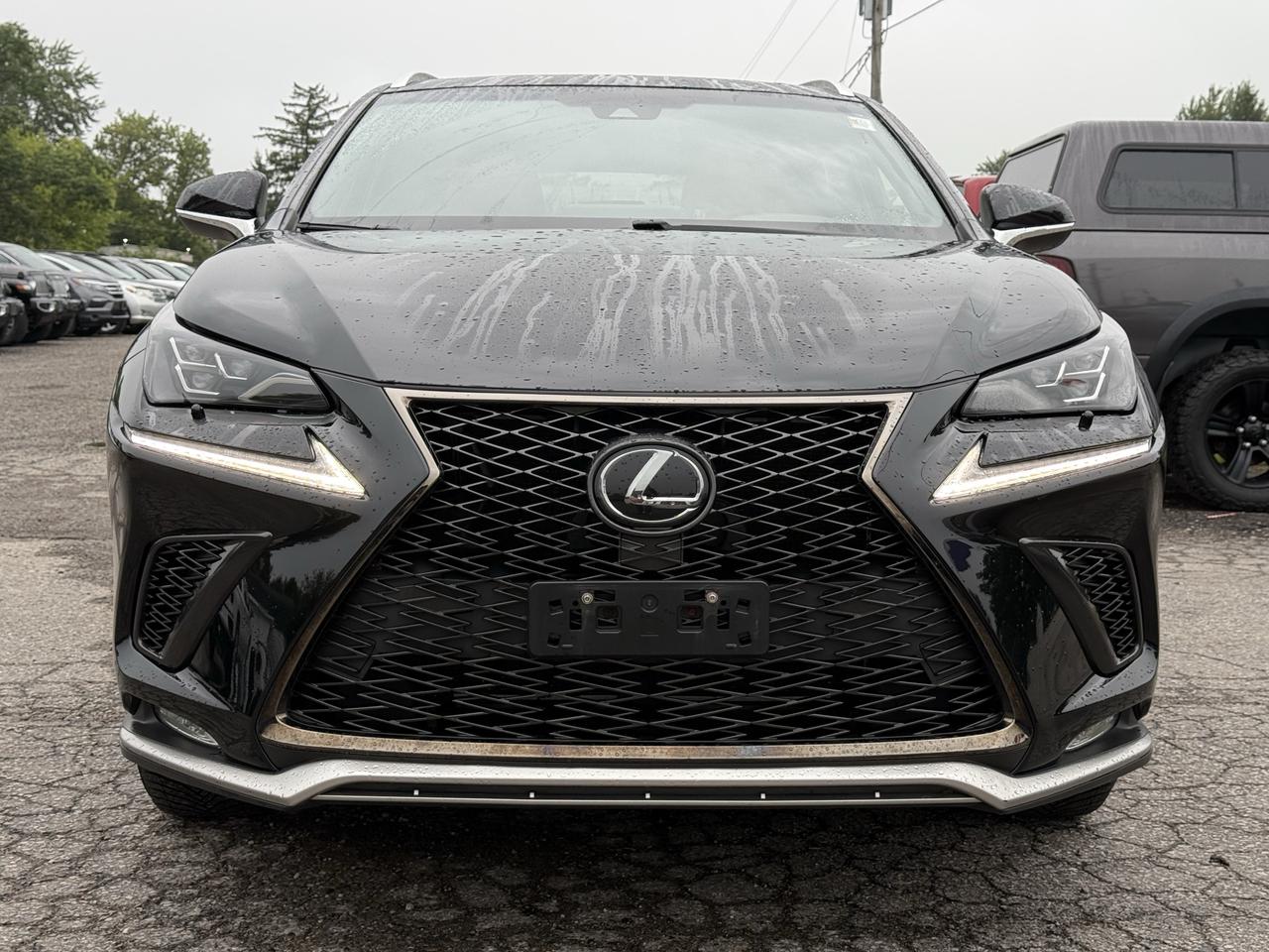 2018 Lexus NX NX 300 F- SPORT Photo
