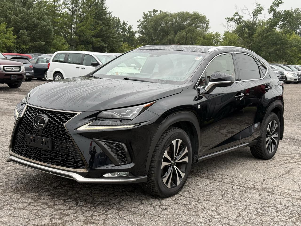 2018 Lexus NX NX 300 F- SPORT Photo