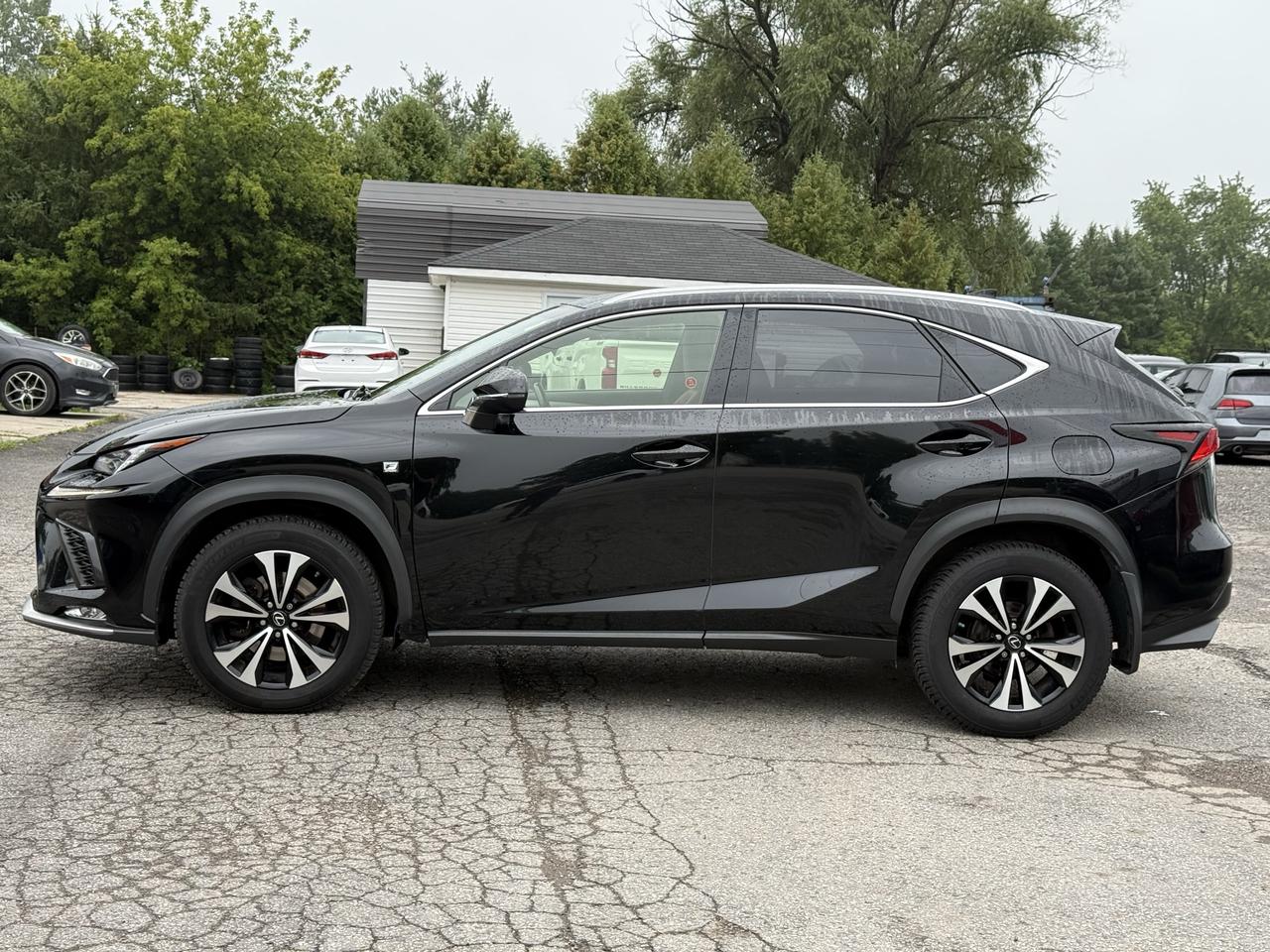 2018 Lexus NX NX 300 F- SPORT Photo