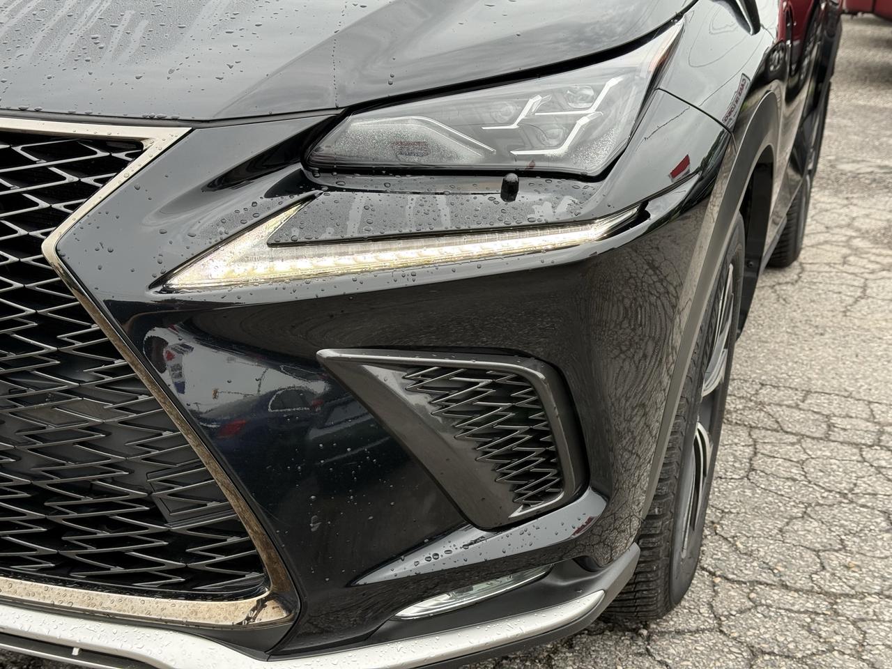 2018 Lexus NX NX 300 F- SPORT Photo