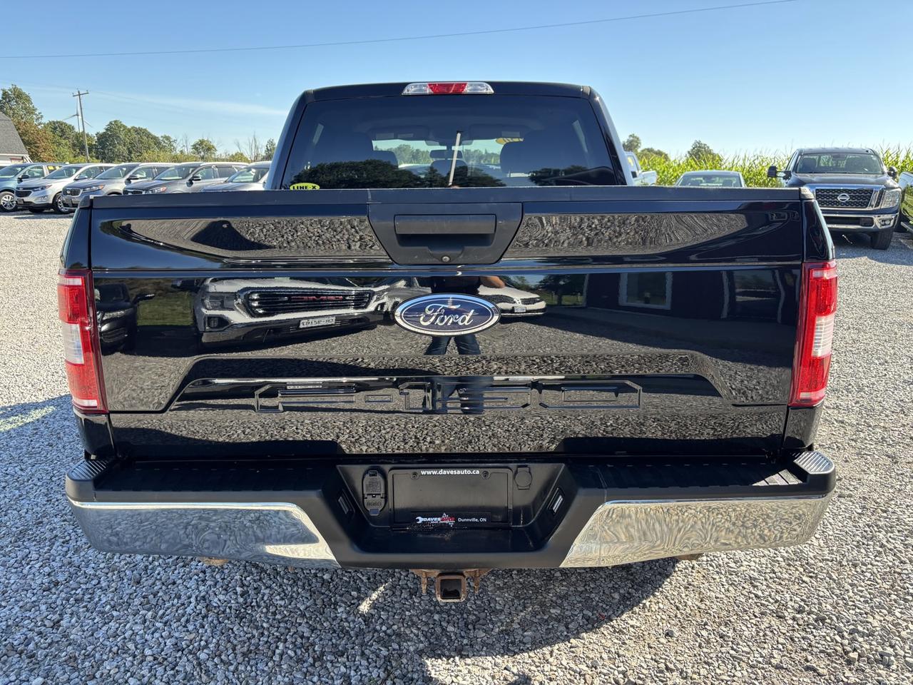2020 Ford F-150 XLT /4x4/CLEAN CARFAX/ 5.0L/ Photo