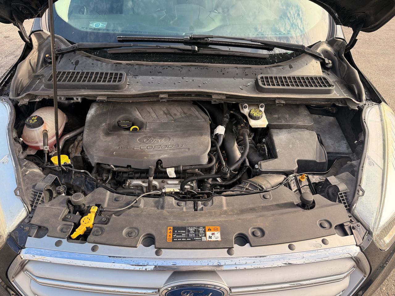 2017 Ford Escape SE Photo