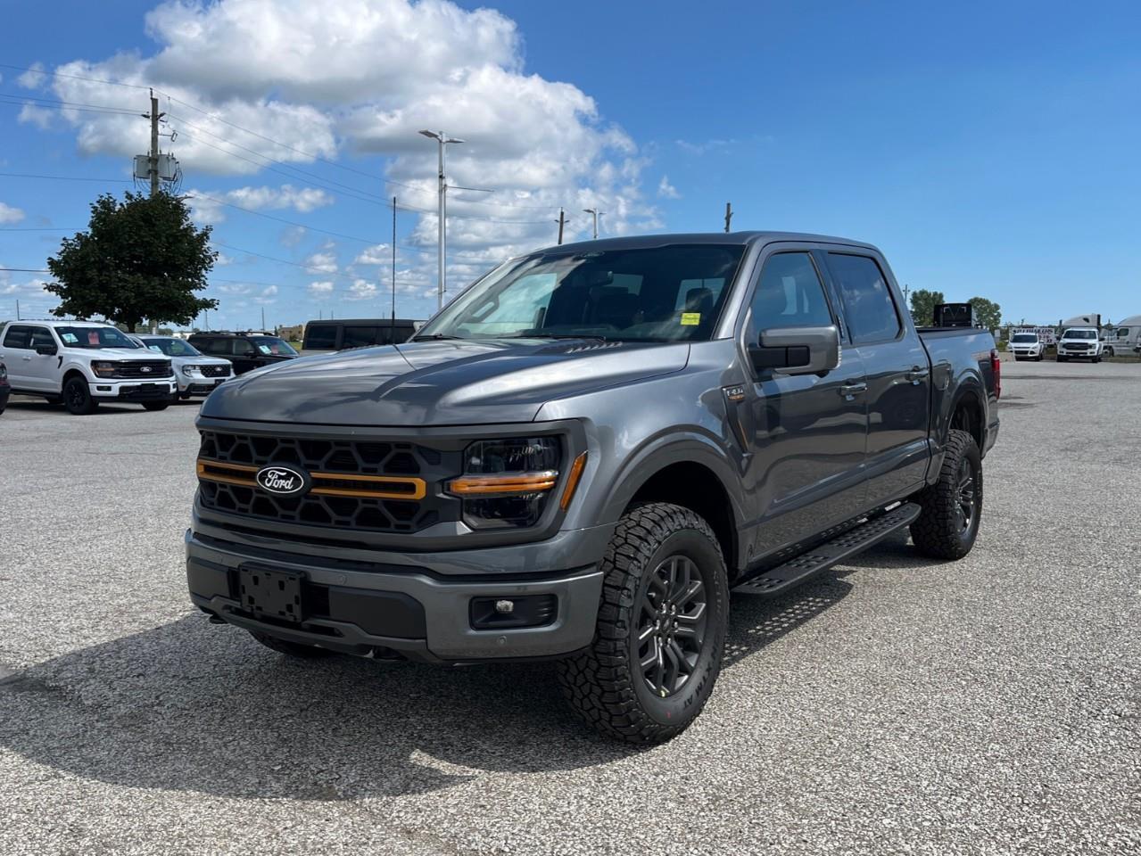 2026 Ford F-150 Tremor Photo