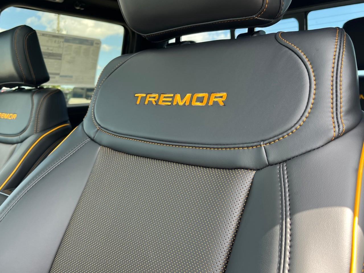 2026 Ford F-150 Tremor Photo