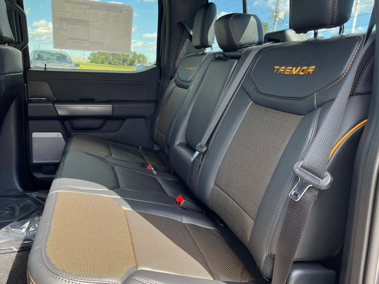2026 Ford F-150 Tremor Photo