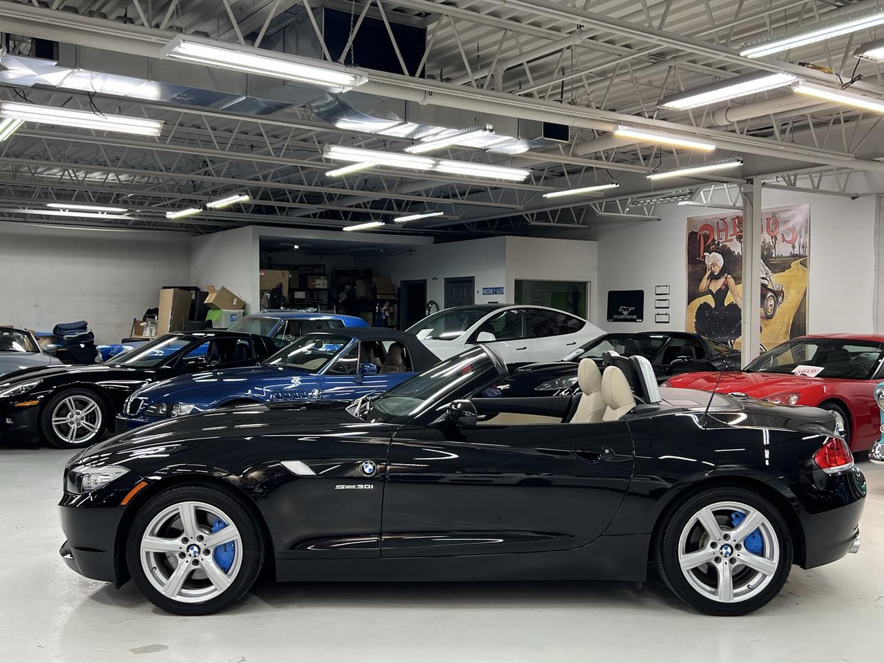 2011 BMW Z4 2dr Roadster sDrive30i Photo