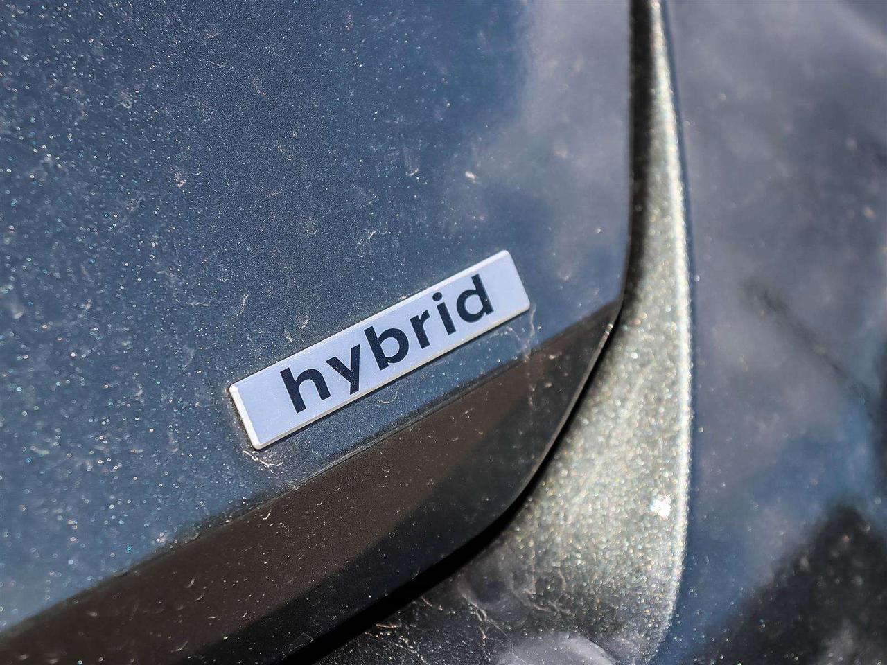 2025 Hyundai Elantra Luxury Photo