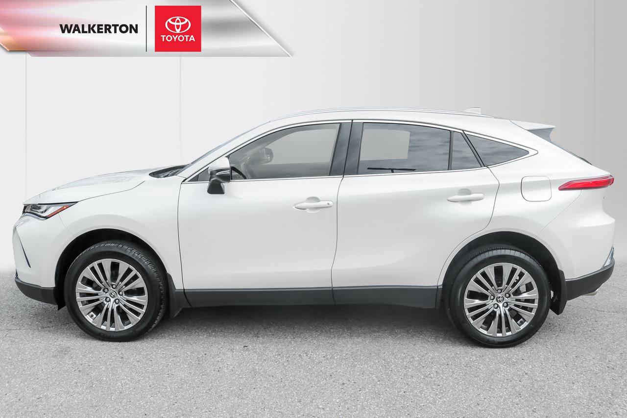 2022 Toyota Venza XLE 4dr All-Wheel Drive Photo