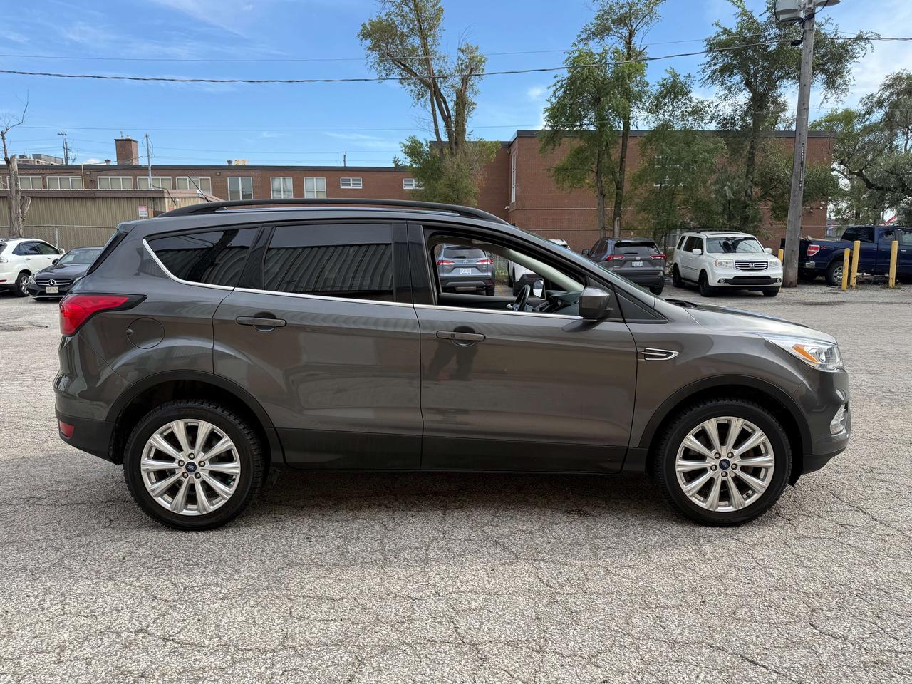 2019 Ford Escape No Accident l SEL l AWD l Gas l EcoBoost l Leather Photo