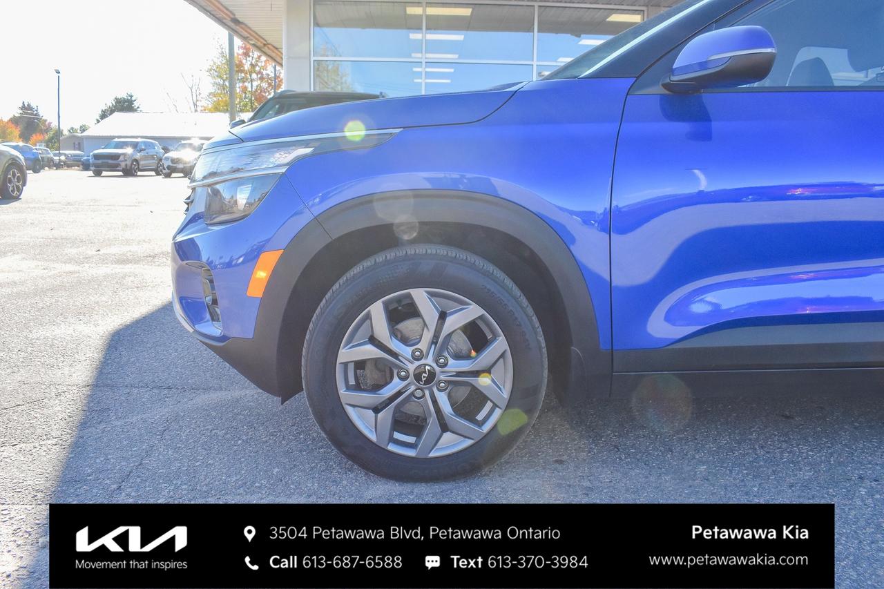 2024 Kia Seltos LX 4dr Front-Wheel Drive Photo