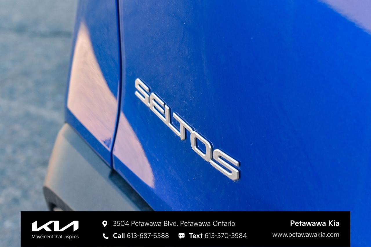2024 Kia Seltos LX 4dr Front-Wheel Drive Photo