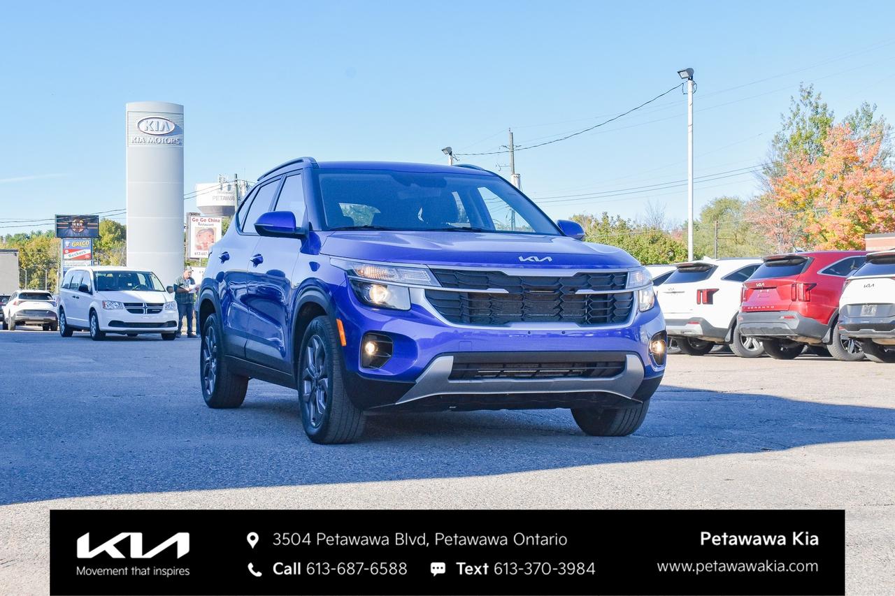 2024 Kia Seltos LX 4dr Front-Wheel Drive Photo