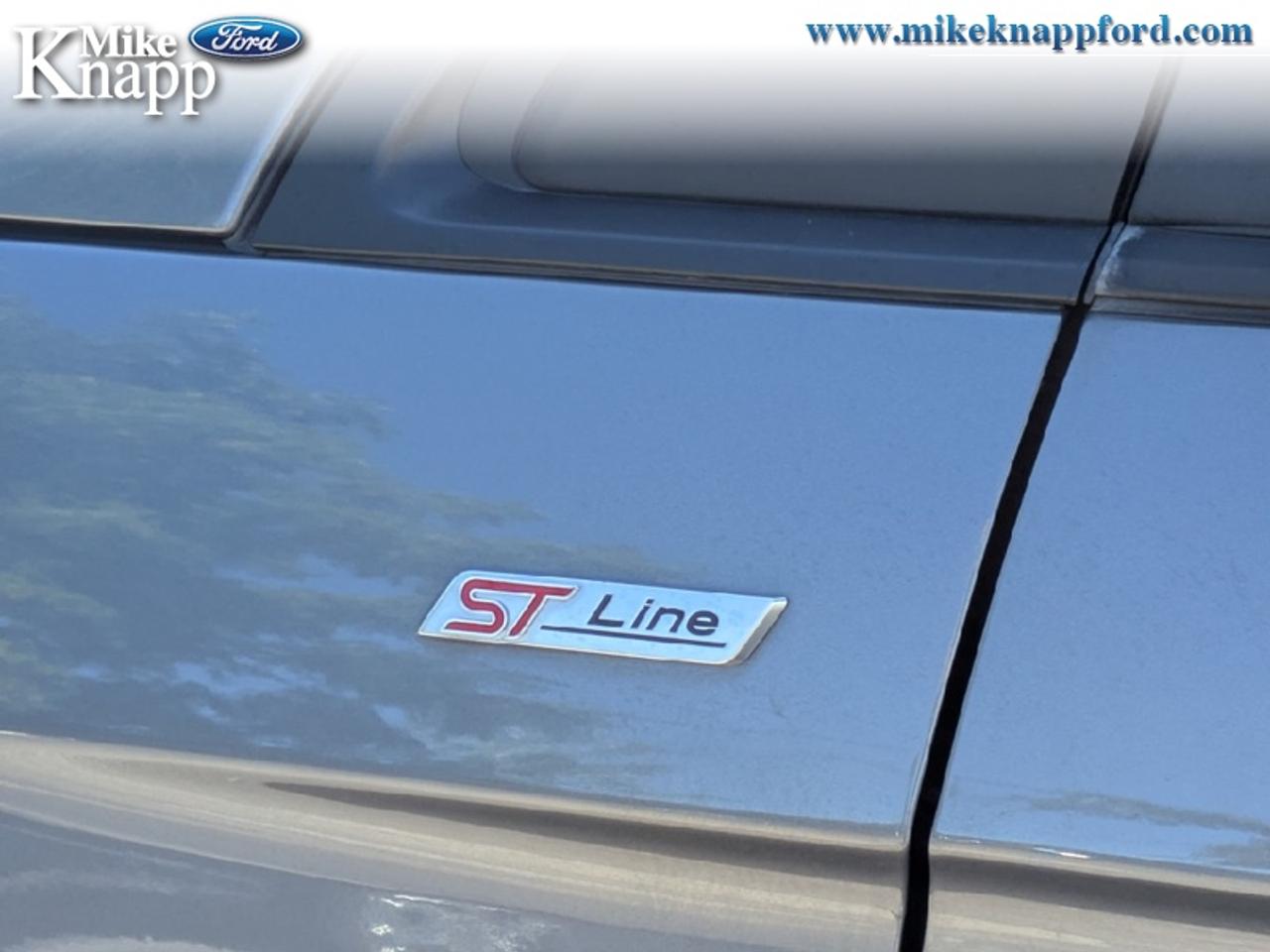 2024 Ford Edge ST Line Photo