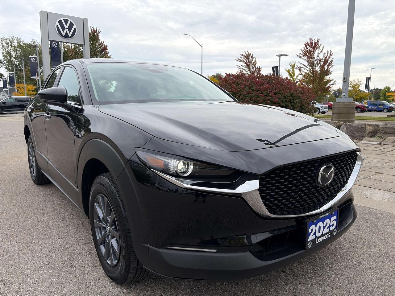 2025 Mazda CX-30 GX Photo
