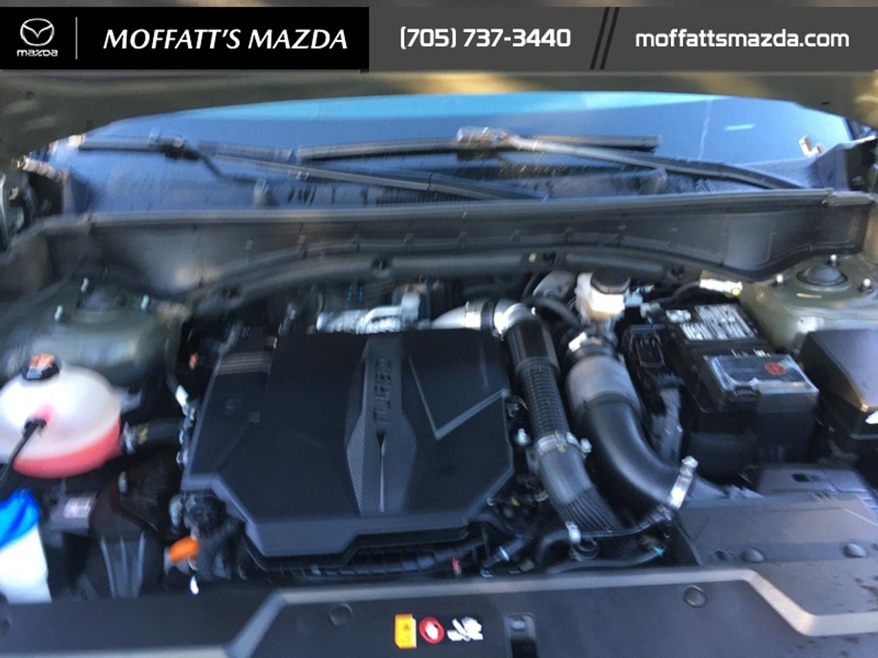 2024 Hyundai Santa Fe Luxury Photo