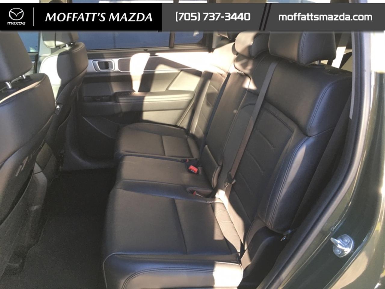 2024 Hyundai Santa Fe Luxury Photo