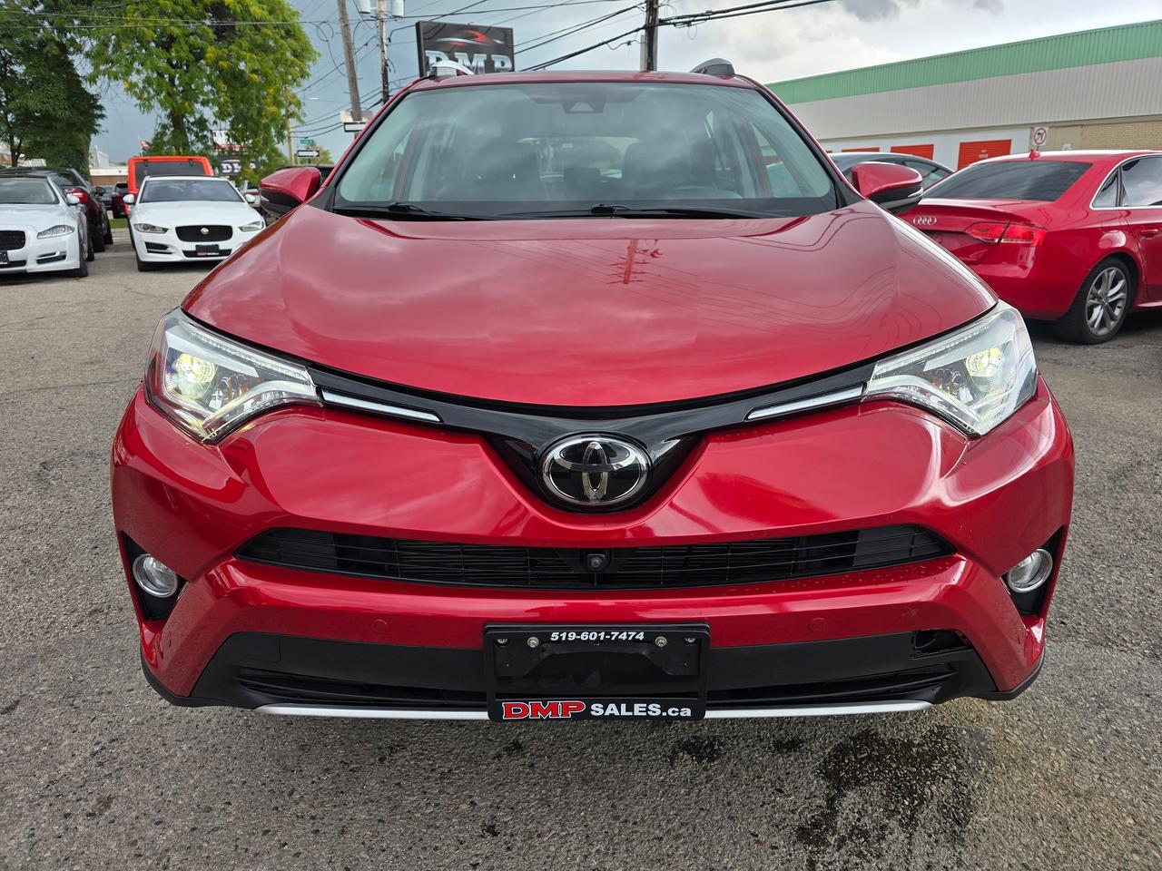 2016 Toyota RAV4 LIMITED AWD Photo