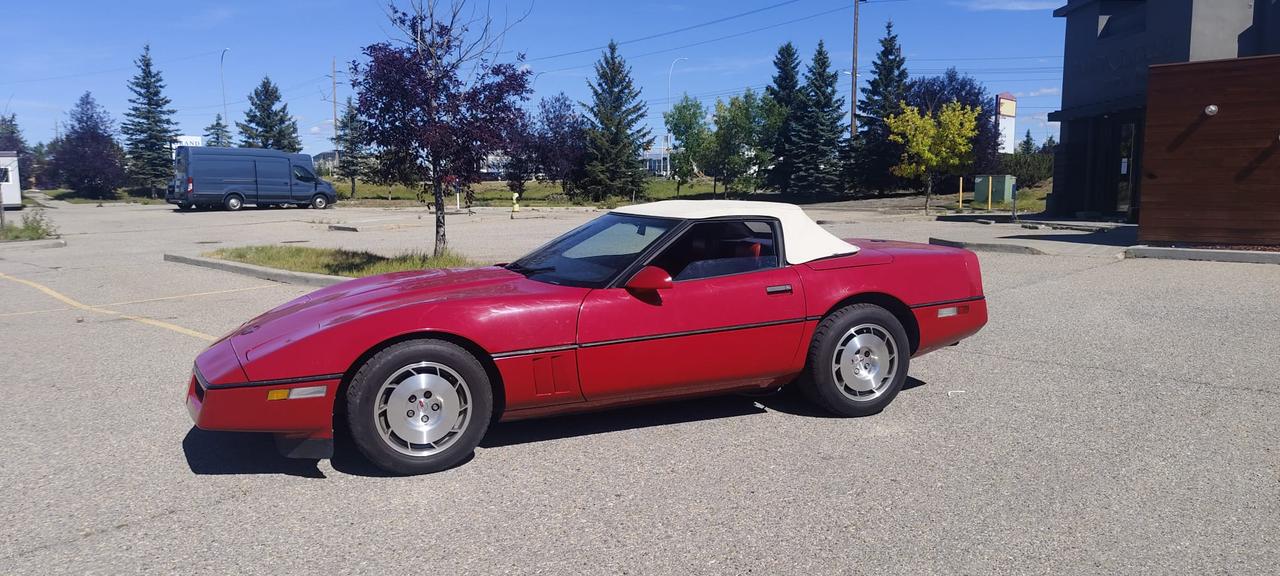 1986 Chevrolet Corvette SV Photo