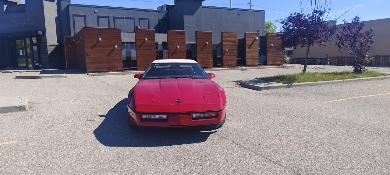 1986 Chevrolet Corvette SV Photo