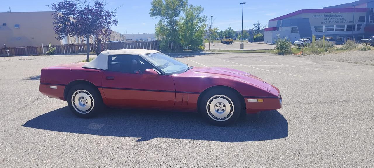 1986 Chevrolet Corvette SV - Photo #6