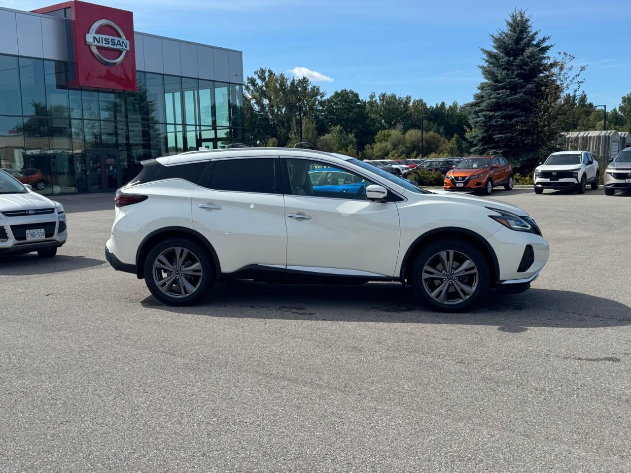 2024 Nissan Murano AWD PLATINUM Photo1