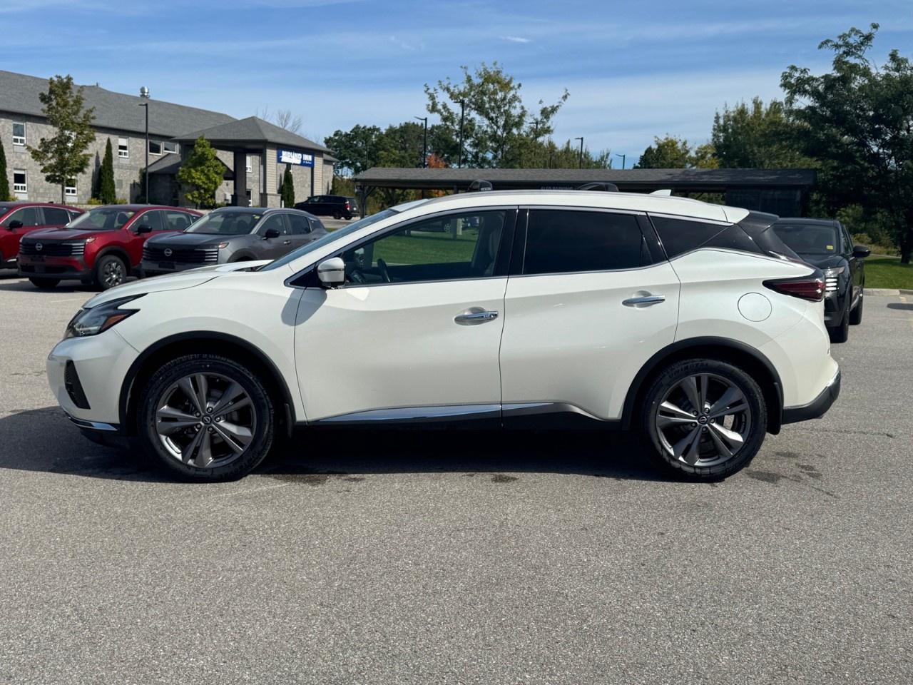 2024 Nissan Murano AWD PLATINUM Photo