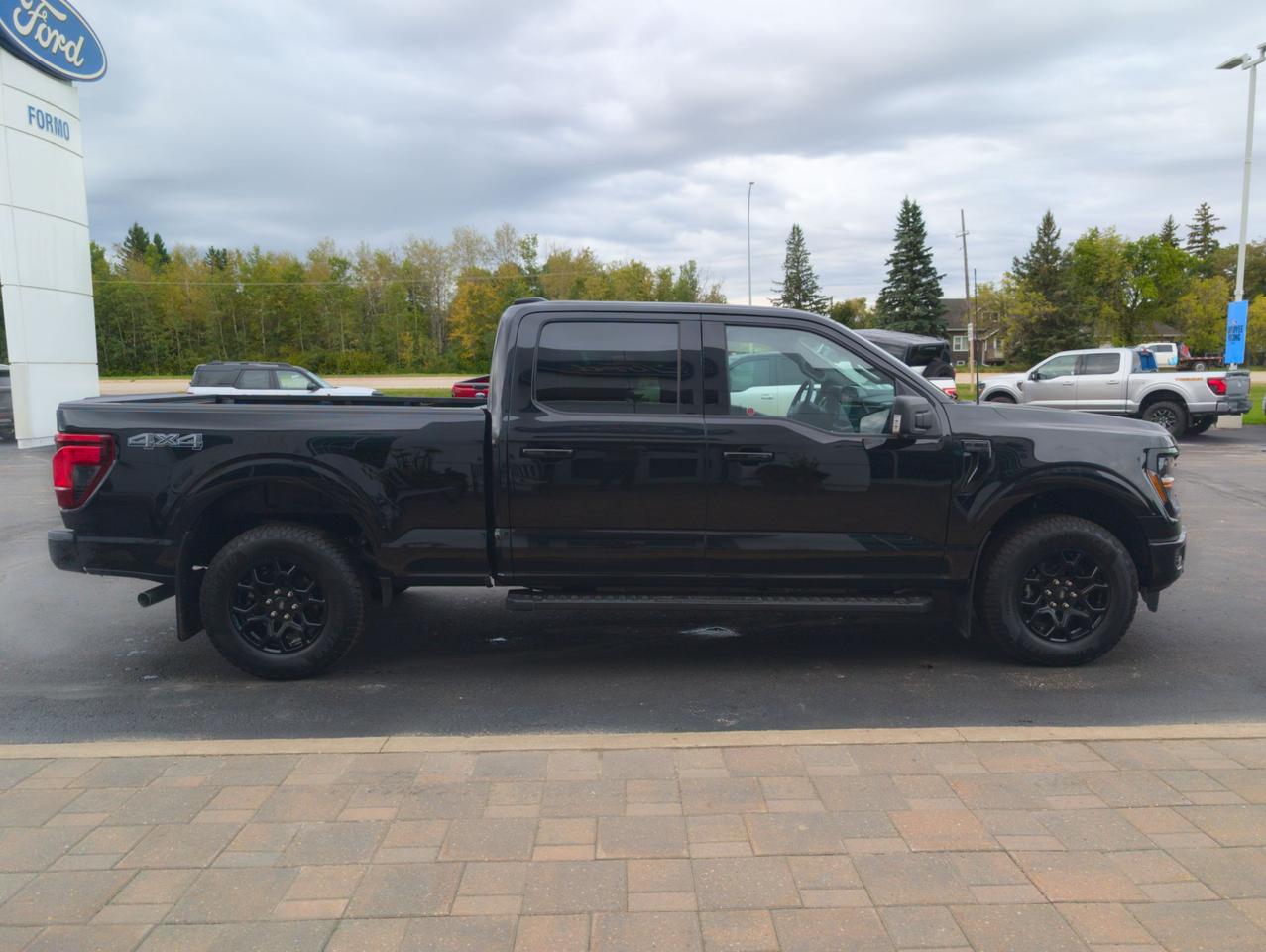 2026 Ford F-150 XLT Photo4