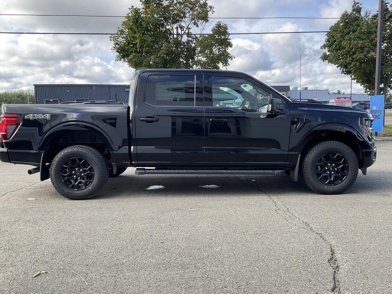 2026 Ford F-150 XLT Photo4