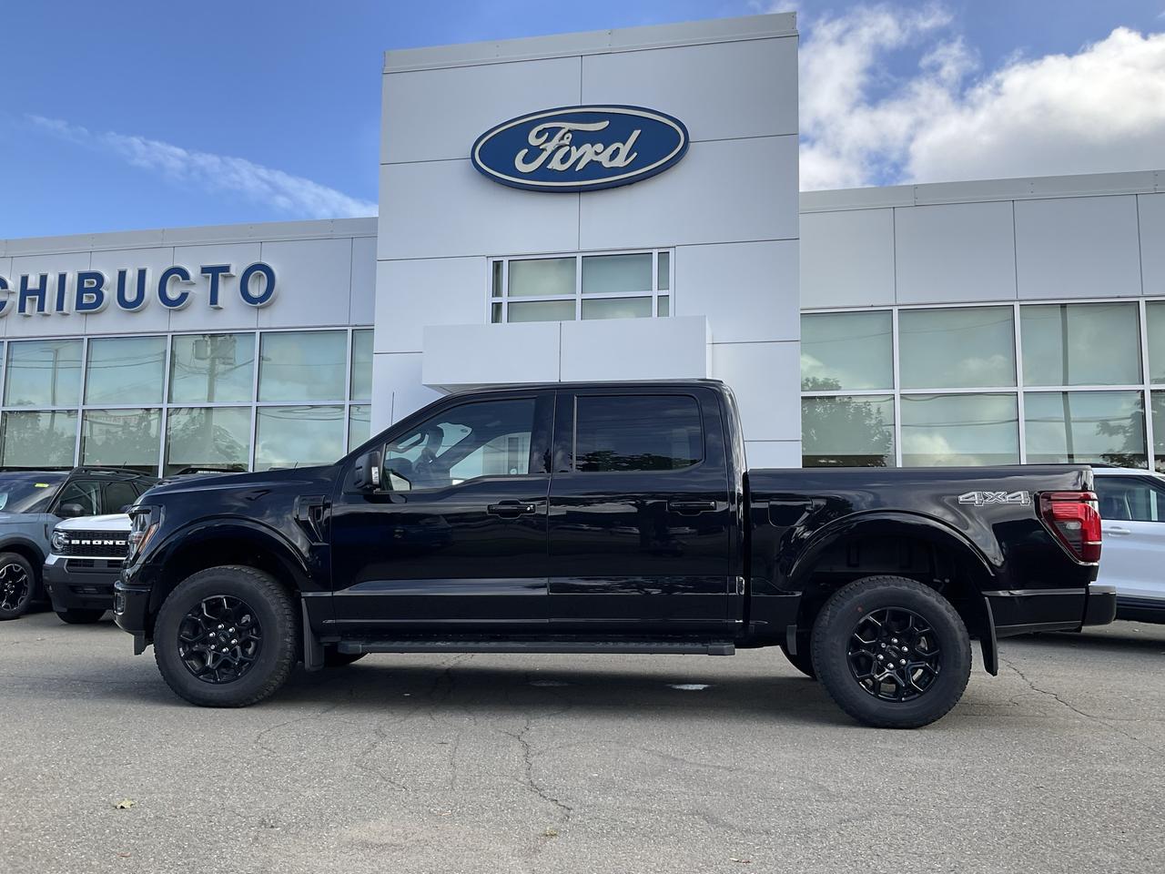 2026 Ford F-150 XLT Photo3