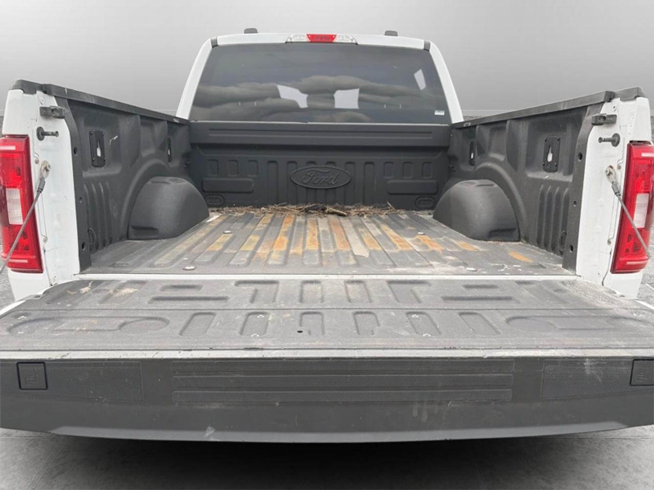 2021 Ford F-150 XLT  **5.0L V8 ENGINE** Photo