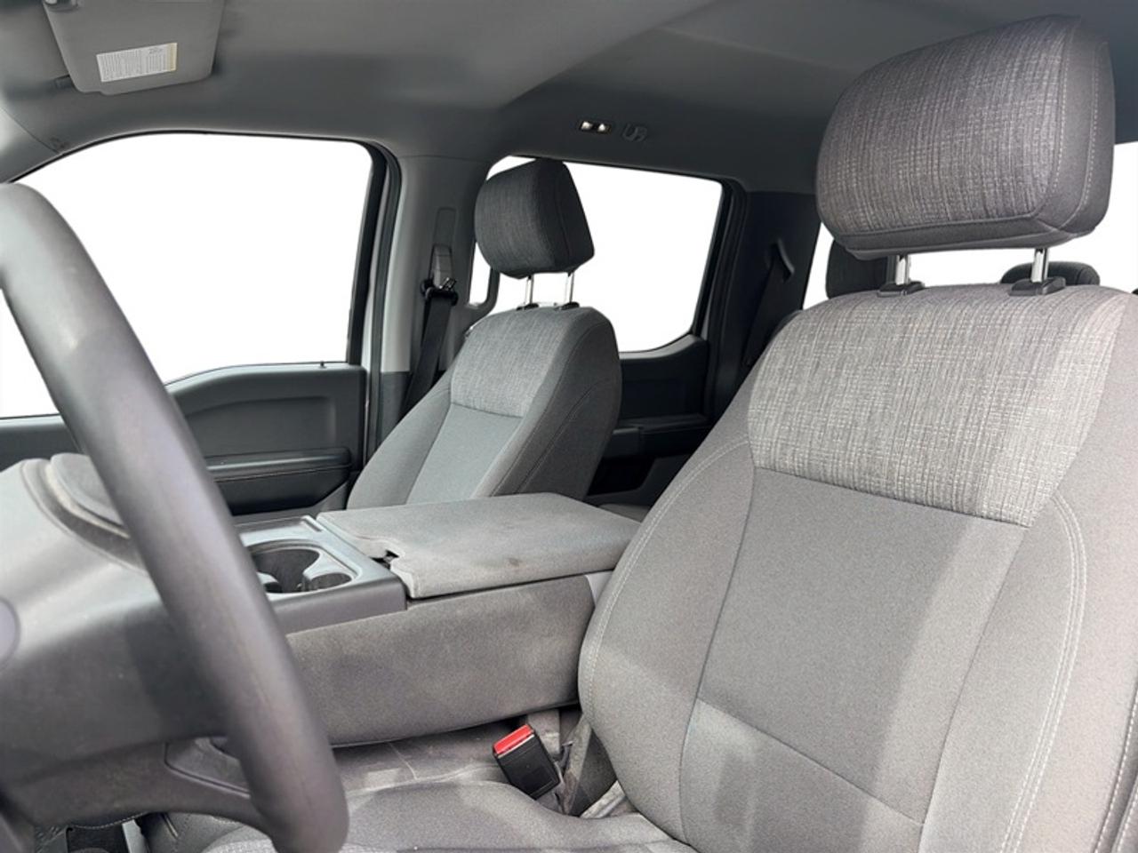 2021 Ford F-150 XLT  **5.0L V8 ENGINE** Photo