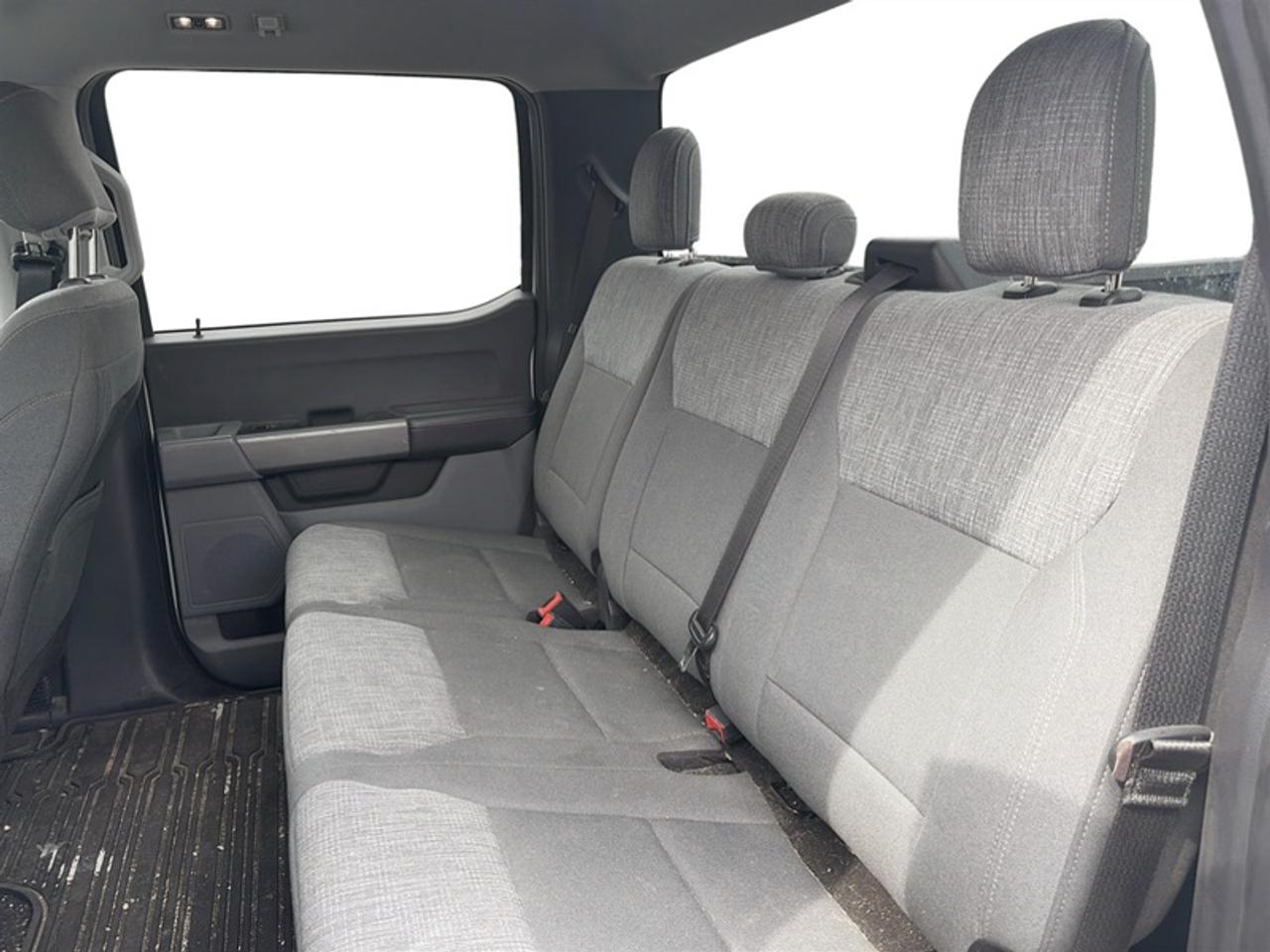 2021 Ford F-150 XLT  **5.0L V8 ENGINE** Photo