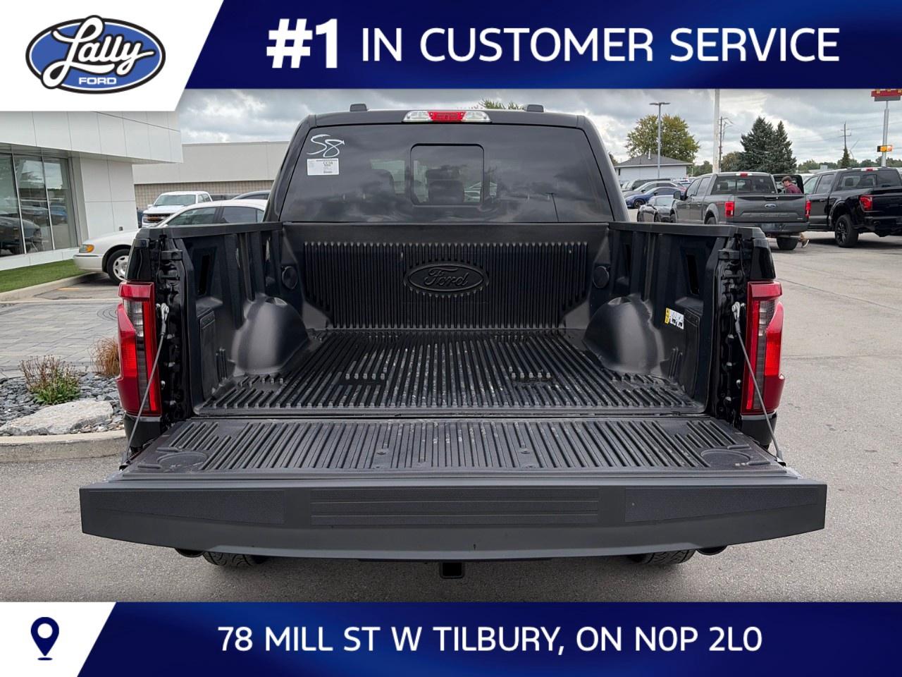 2026 Ford F-150 XLT 4WD SuperCrew 5.5' Box Photo