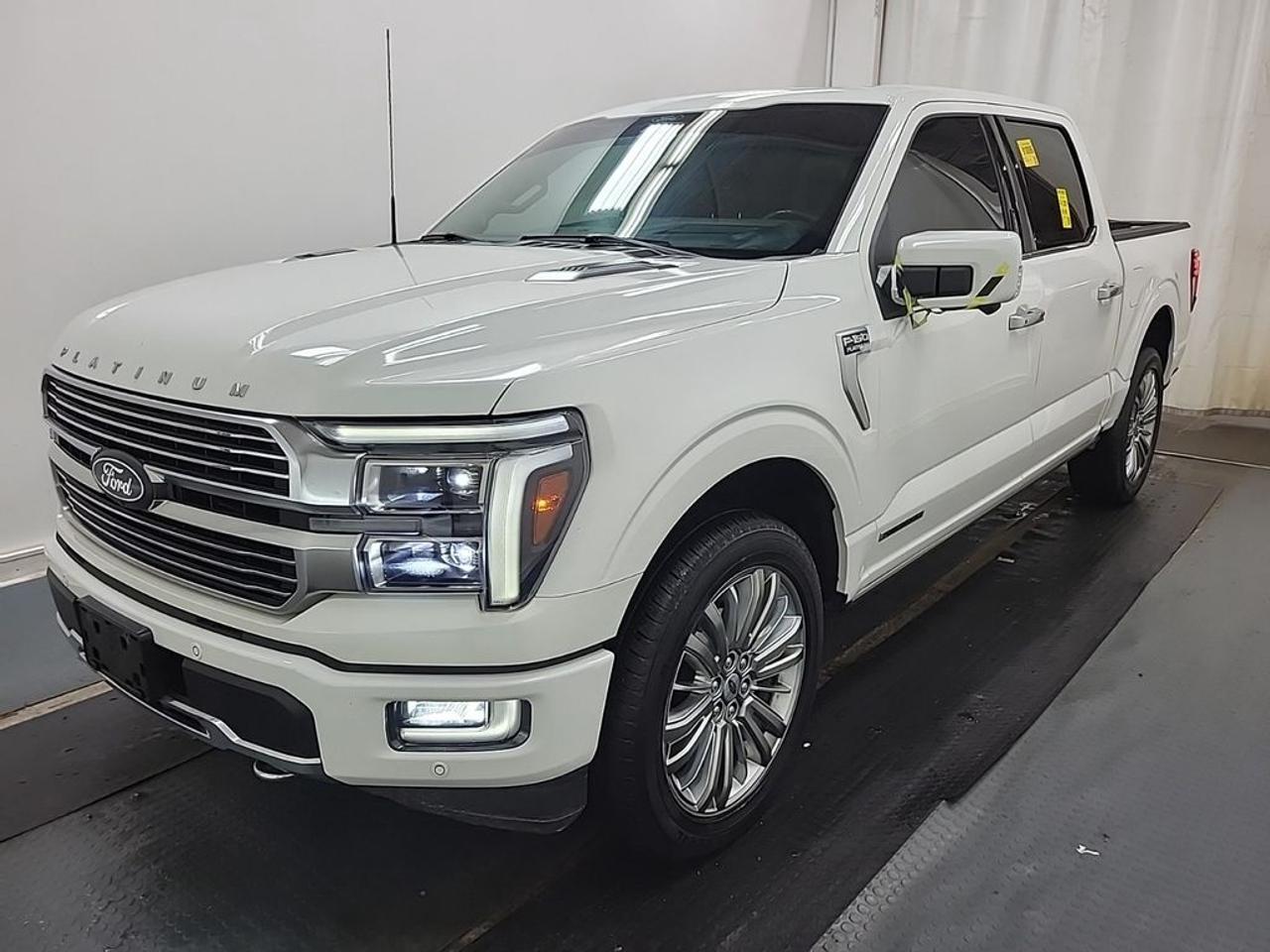 2024 Ford F-150 Platinum Photo0