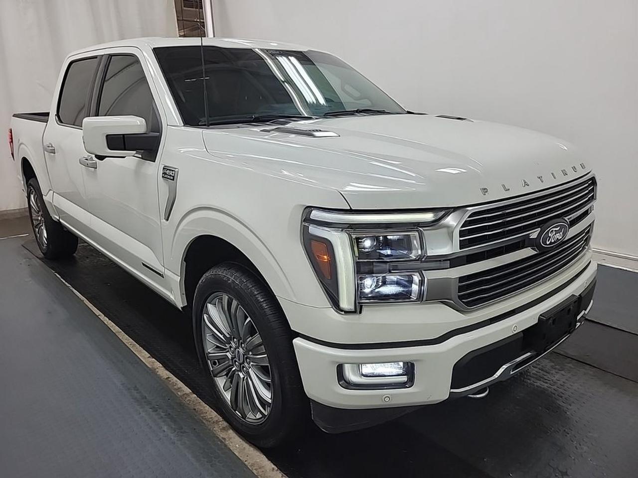 2024 Ford F-150 Platinum Photo1