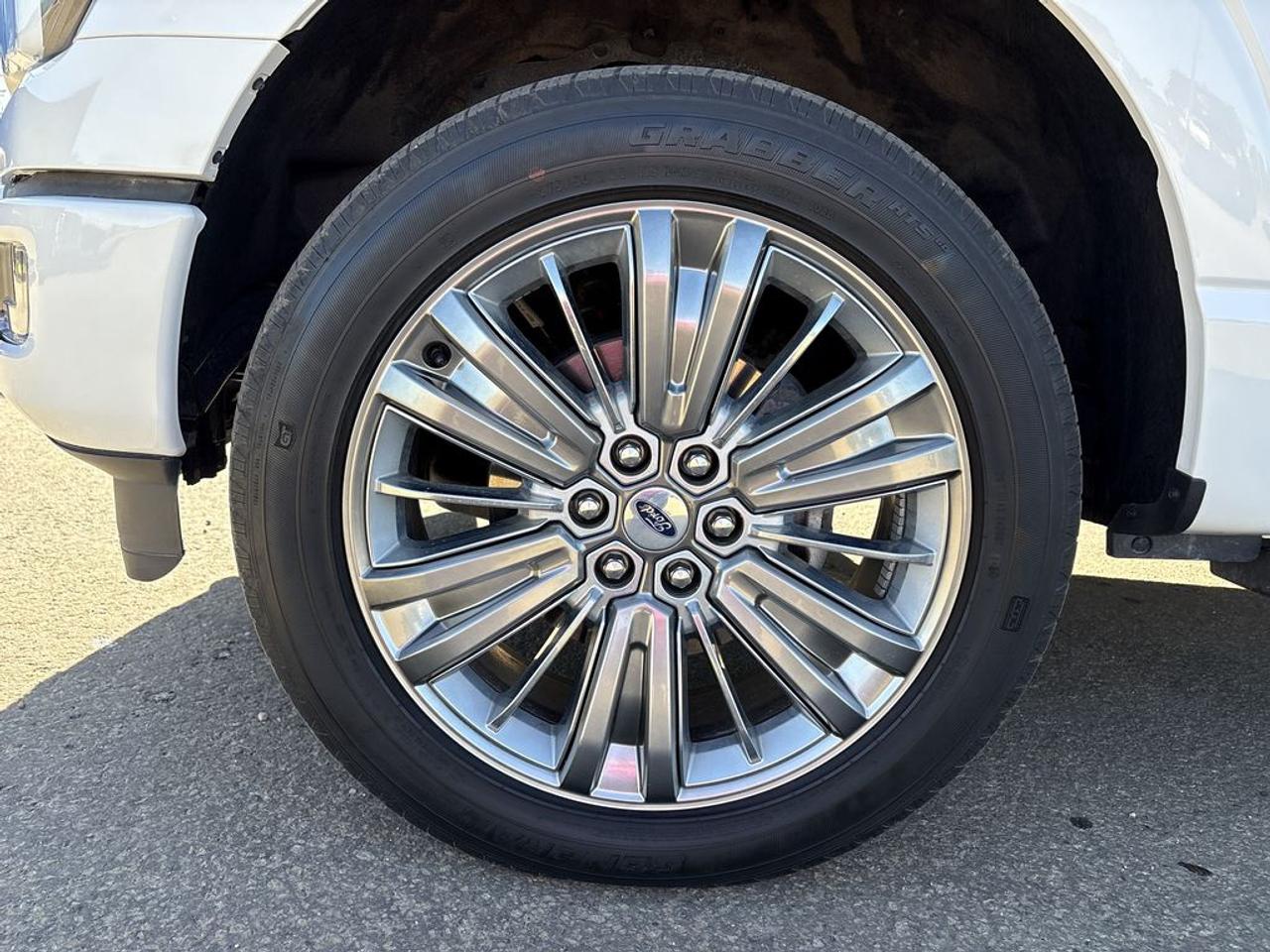 2024 Ford F-150 Platinum Photo2