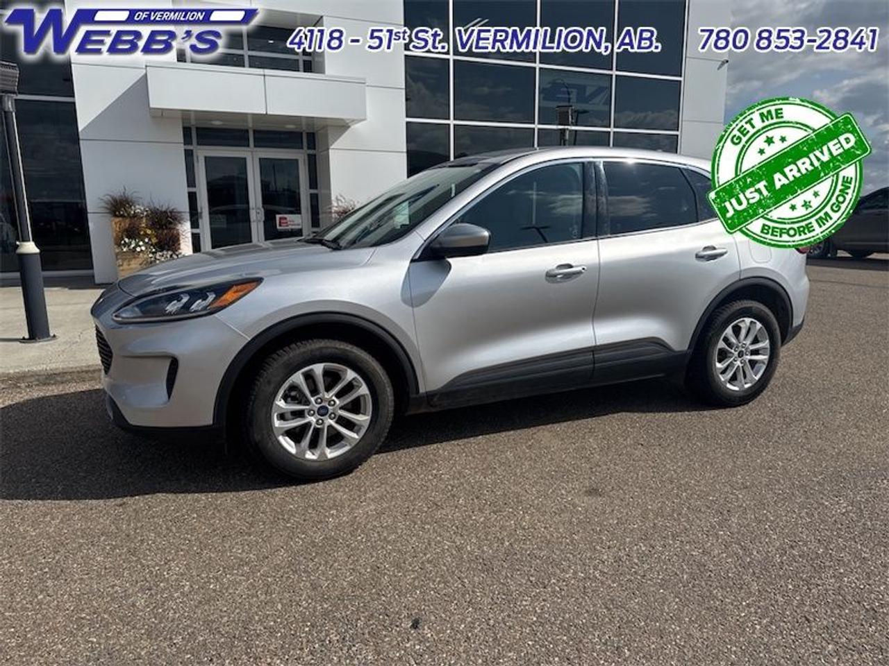 2020 Ford Escape SE 4WD Photo2